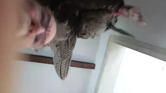 CDforU online show from 02/04/26, 05:52