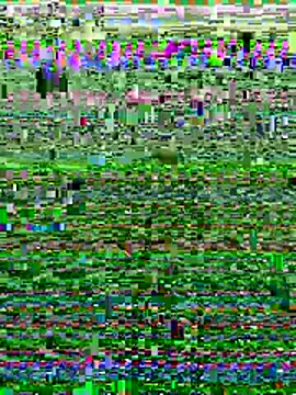 Snapshot of Wolfeman74 chatting on 07/11/26, 06:54 Wolfeman74 online show from 07/11/26, 06:54