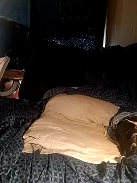 Snapshot of ShadowyTube chatting on 01/13/25, 05:23 ShadowyTube online show from 01/13/25, 05:23