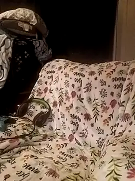 Snapshot of ShadowyTube chatting on 02/19/25, 06:33 ShadowyTube online show from 02/19/25, 06:33