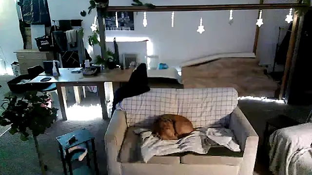 Snapshot of iamsex6969 chatting on 03/27/26, 06:19 iamsex6969 online show from 03/27/26, 06:19