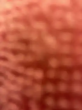 BigFineSelena online show from 01/11/25, 03:09