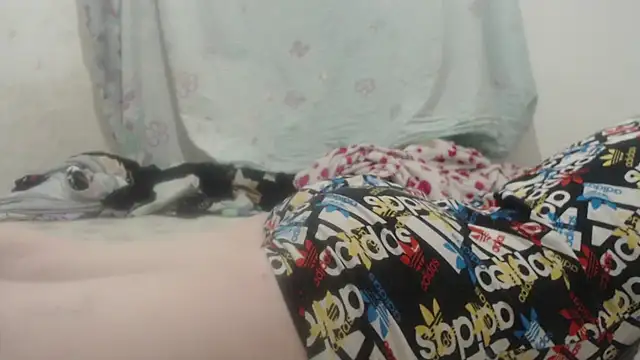 Kittywhiteass online show from 03/16/25, 11:57