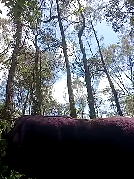 strollnrg069 online show from 12/05/24, 02:31