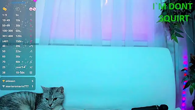 Bell a mi  online show from 03/08/25, 05:59