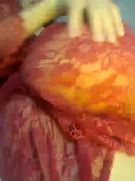 Sex Senfoura Arab online show from 12/18/24, 12:32