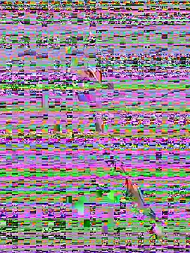 sahorix1 online show from 02/20/26, 03:56