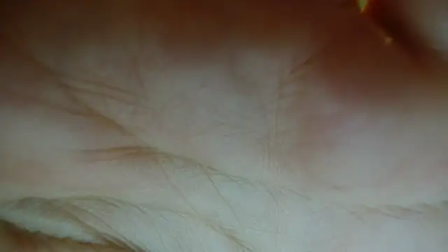 Sassy Latina online show from 01/12/26, 03:01