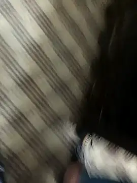 Snapshot of hotdickhow chatting on 03/08/25, 03:35 hotdickhow online show from 03/08/25, 03:35