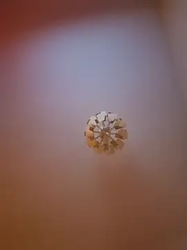 cuci45 online show from 03/31/26, 06:30