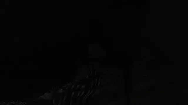 BELINDAXXXXX online show from 12/13/24, 08:04