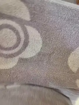 cuminpussyalot online show from 03/08/26, 01:26