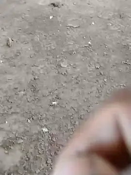 dheck2020 online show from 01/07/25, 06:45