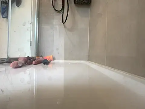 angelus112 online show from 03/29/26, 03:56