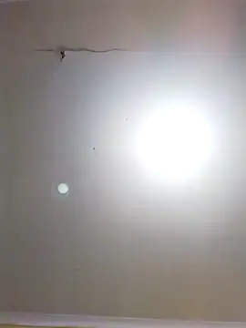 DangerousSafari online show from 11/03/25, 02:29