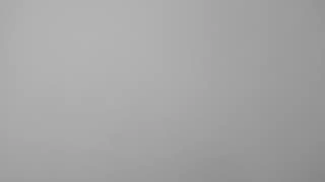 All yours555 online show from 10/23/25, 10:08