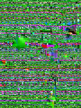 eva six online show from 12/20/24, 06:45