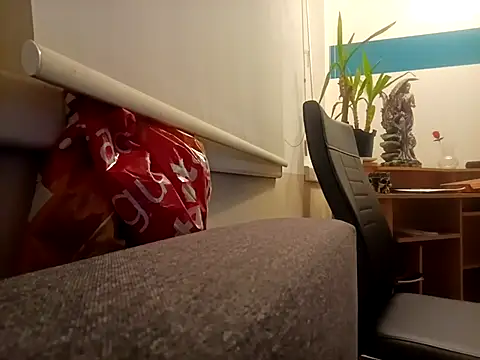 Snapshot of Ebinator666 chatting on 01/21/25, 02:33 Ebinator666 online show from 01/21/25, 02:33