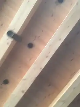 Fellix online show from 12/11/24, 11:30