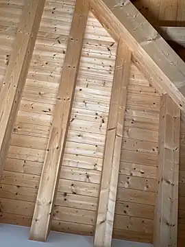 Fellix online show from 10/27/25, 11:47