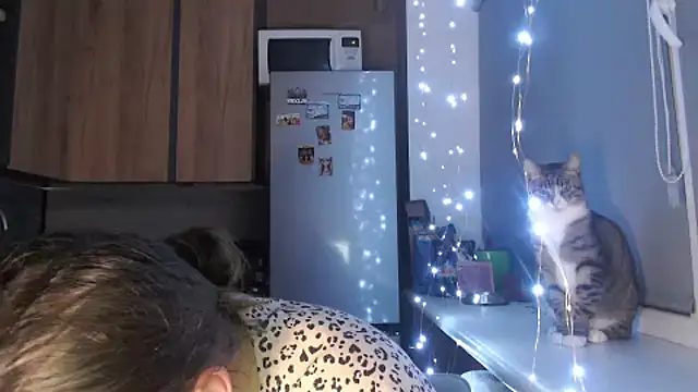 delightful sofi online show from 10/23/25, 09:13