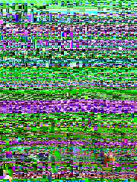 versetopcouple online show from 10/29/25, 04:09