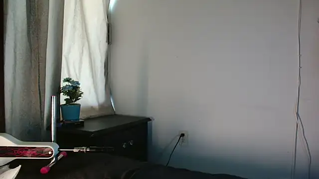 MINI Petite online show from 07/26/26, 06:26