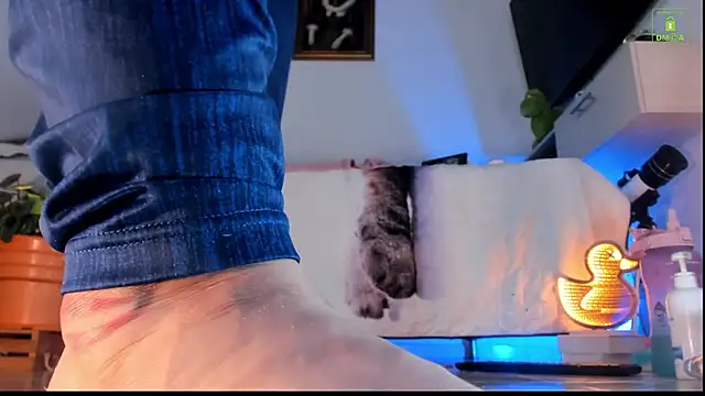 miaa-lee online show from 10/23/25, 04:28