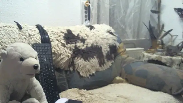 SexySantaC online show from 12/16/25, 09:09