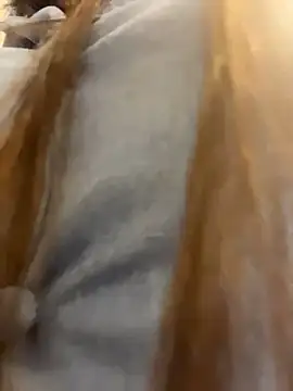 Reggie-Liam online show from 01/09/26, 12:46