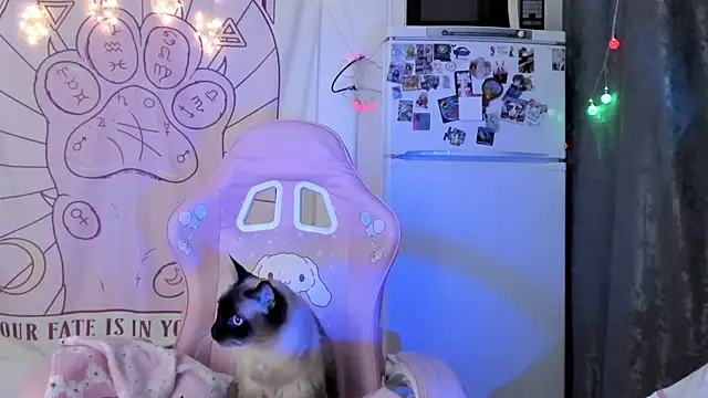 Holy420lolii online show from 01/18/26, 06:23