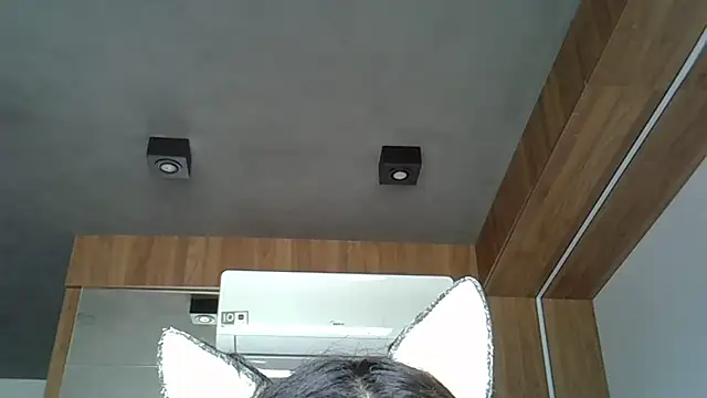 Skinny-Kitten online show from 10/12/25, 02:27