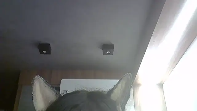 Skinny-Kitten online show from 03/09/26, 03:43