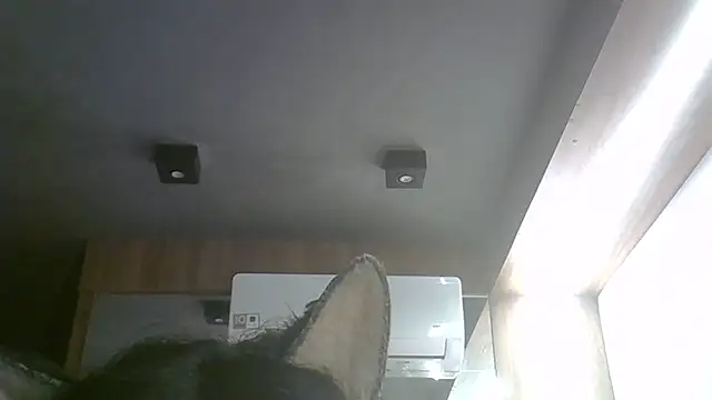 Snapshot of Skinny-Kitten chatting on 05/17/26, 11:17 Skinny-Kitten online show from 05/17/26, 11:17