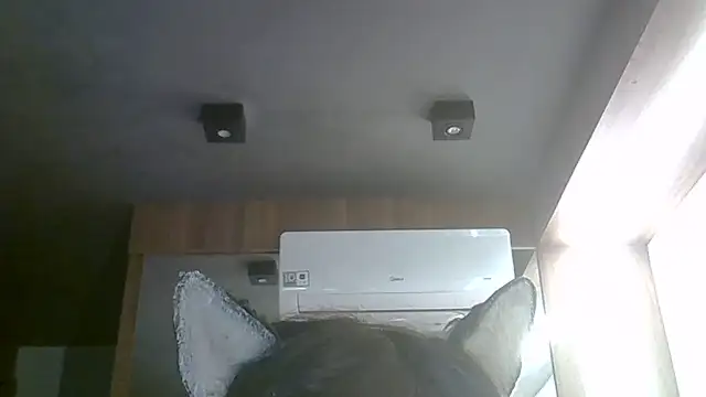 Snapshot of Skinny-Kitten chatting on 06/01/26, 03:47 Skinny-Kitten online show from 06/01/26, 03:47