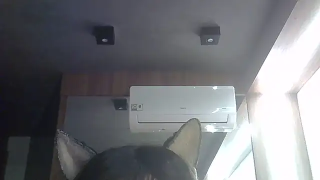 Snapshot of Skinny-Kitten chatting on 06/02/26, 03:52 Skinny-Kitten online show from 06/02/26, 03:52