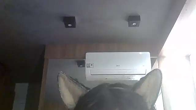 Snapshot of Skinny-Kitten chatting on 06/27/26, 01:28 Skinny-Kitten online show from 06/27/26, 01:28
