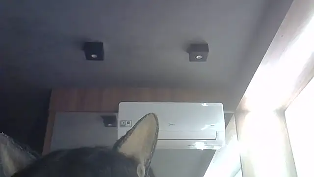 Snapshot of Skinny-Kitten chatting on 06/28/26, 01:33 Skinny-Kitten online show from 06/28/26, 01:33