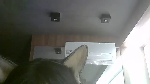 Snapshot of Skinny-Kitten chatting on 07/06/26, 05:37 Skinny-Kitten online show from 07/06/26, 05:37