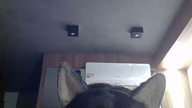 Snapshot of Skinny-Kitten chatting on 07/12/26, 07:43 Skinny-Kitten online show from 07/12/26, 07:43