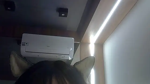 Snapshot of Skinny-Kitten chatting on 07/20/26, 11:51 Skinny-Kitten online show from 07/20/26, 11:51