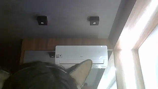 Snapshot of Skinny-Kitten chatting on 07/21/26, 04:09 Skinny-Kitten online show from 07/21/26, 04:09