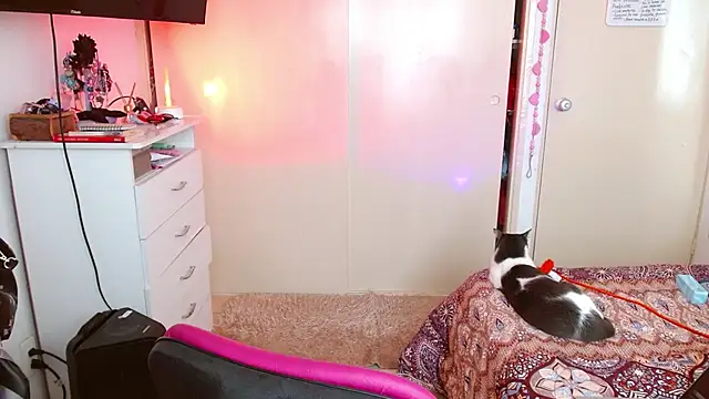 alisseallie online show from 03/21/26, 02:31