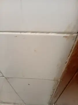 ManBlackhot online show from 04/04/26, 02:25