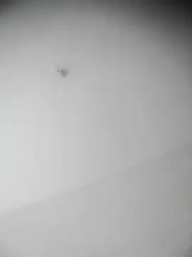 bestofyalcinturkey online show from 12/03/24, 12:49