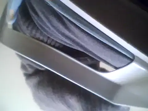 bestofyalcinturkey online show from 03/03/25, 08:38