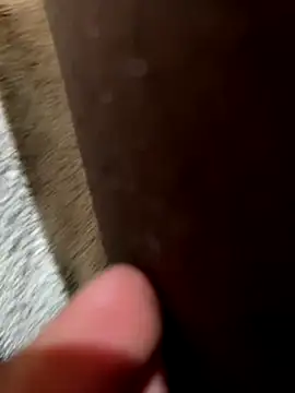 Snapshot of la_chiennete chatting on 11/18/25, 09:30 la chiennete online show from 11/18/25, 09:30