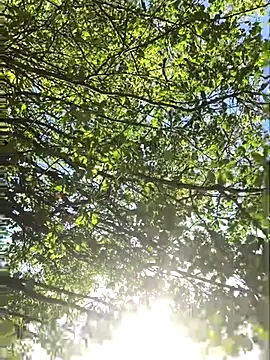 hottottrot691 online show from 09/28/25, 09:09