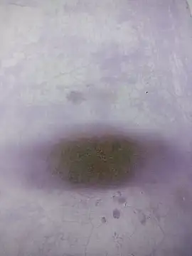 Kannadaboymanu online show from 03/18/25, 04:59