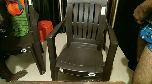 indian2 online show from 12/21/24, 04:46